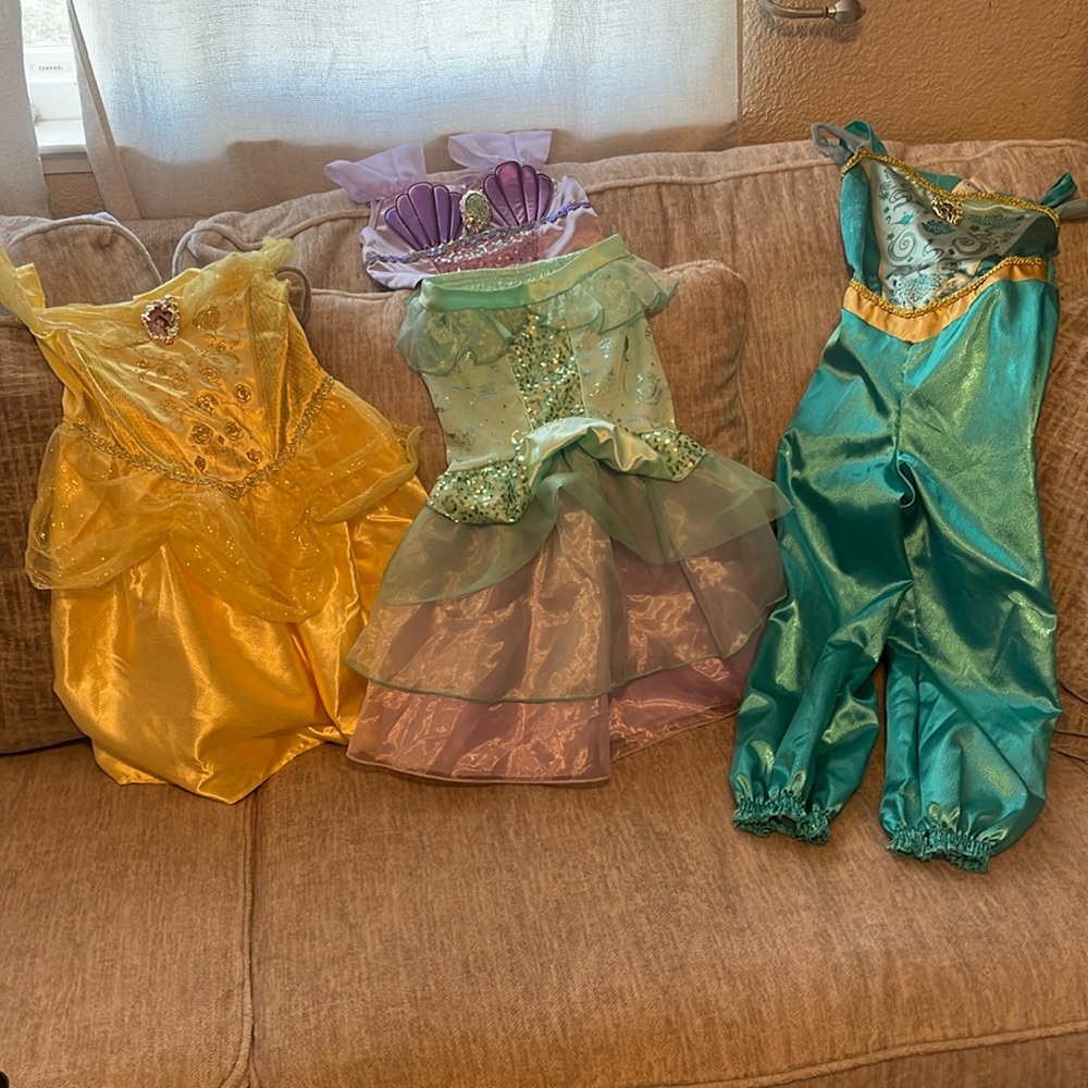 Disney princess customs!